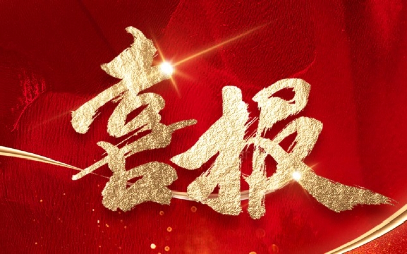 【喜报】我司荣获2024年第三届粤港澳大湾区国际关务节&ldquo;优秀服务单位&rdquo;奖项